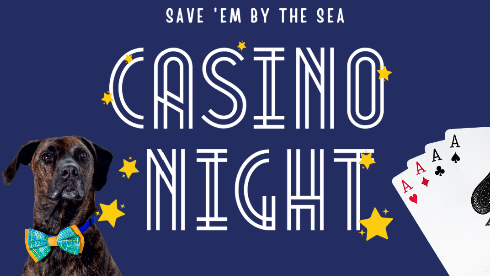 Humane Animal Partners to host Halloween-themed Casino Night fundraiser